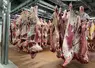 Carcasses de bovins suspendues dans un abattoir
