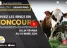 video live concours bovins salon de l'agriculture 2024