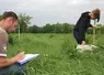 Techniciens d'Acsel (conseil en élevage). Mesure des hauteurs d'herbe avec deux techniques : l'herbomètre (démarrage de végétation) et le damier (phase de croissance).