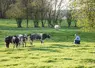 Coopérative « En direct de mon élevage » Belgique