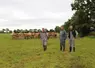 éleveurs bovins viande prairie vaches parthenaise veaux