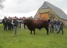 Les éleveurs bovins viande adhérents au GIE Génération salers ont eu la grande fierté d'acquérir pour l'IA en mars dernier le taureau d'exception Nicky, qui a ...