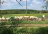 Grâce à une antenne de lecture positionnée à proximité de l’abreuvoir au pré, la ferme de Jalogny, en Saône-et-Loire, a pu suivre la fréquentation des animaux au point d’abreuvement et recouper les données avec la température et la pluviométrie.