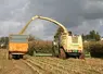 <em class="placeholder">Chantier d&#039;ensilage de maÃ¯s dans la Manche / ensileuse Krone BigX 800 bec 12 rangs / RÃ©colte du mais avant la pluie / ciel sombre chargÃ© de nuages  / I M G _ 9 6 1 6</em>