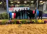 <em class="placeholder">Taureau et vache suitée de race Angus et leurs éleveurs, mis à l&#039;honneur en présentation à La Ferme s&#039;invite, à Poitiers</em>
