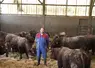 <em class="placeholder">Système naisseur engraisseur en race salers avec croisement charolais dans le Cantal</em>