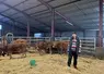 <em class="placeholder">Emmanuel Magne, éleveur de vaches limousines à Arches dans le Cantal</em>