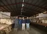 <em class="placeholder">Eleveurs bovins viande et leur conseiller, dans le bâtiment d&#039;engraissement des jeunes bovins où un ventilateur assure la circulation de l&#039;air. </em>