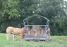 <em class="placeholder">Le troupeau blond d&#039;Aquitaine de ces éleveurs sélectionneurs des Landes est remonté sur la base d&#039;un éventail génétique assez large, mais toujours avec des index IV-Mat ...</em>