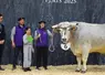 boeuf gascon label rouge et ses éleveurs sur le podium du concours général agricole au salon de l'agriculture 2025, à Paris
