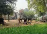 <em class="placeholder">Deux bufflonnes et leurs veaux sur une petite ferme, en Inde.</em>
