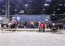 Concours général agricole 2025 race rouge des prés