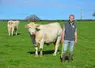 <em class="placeholder">Rémi Louvrier, installé dans le Morvan, avec son troupeau de vaches charolaises</em>
