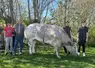 vache championne concours de boucherie 2025 Mamers