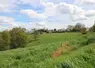 prairie Pyrénées-Atlantiques