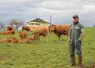 <em class="placeholder">éleveur bovins viande prairies limousines printemps</em>