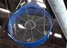 ventilateur à flux horizontal bâtiment élevage bovin