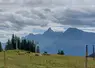 Haute-Savoie prairie troupeau bovin laitier