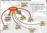 export broutards 2024 infographie