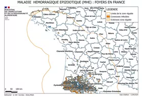Carte des foyers de MHE en France au 11 avril 2024