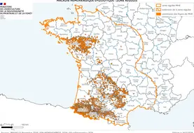 Cartographie de la zone réglementée au titre de la MHE à partir des foyers du sud-ouest, à la date du 14 novembre 2024.