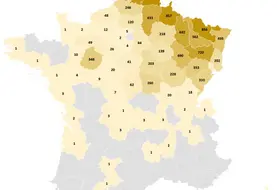 Nombre de foyers FCO BTV3 déclarés par département au 20 février 2025