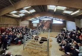 vente de reproducteurs Rouge des Prés