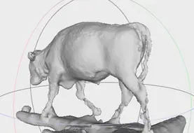 <em class="placeholder">pheno 3D scanner 3D automatisation poids vif et pointage veaux de races allaitantes</em>