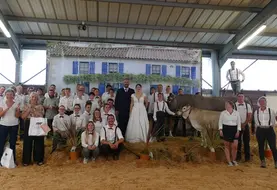 <em class="placeholder">concours national Bazadaise 2026 à Lezay</em>