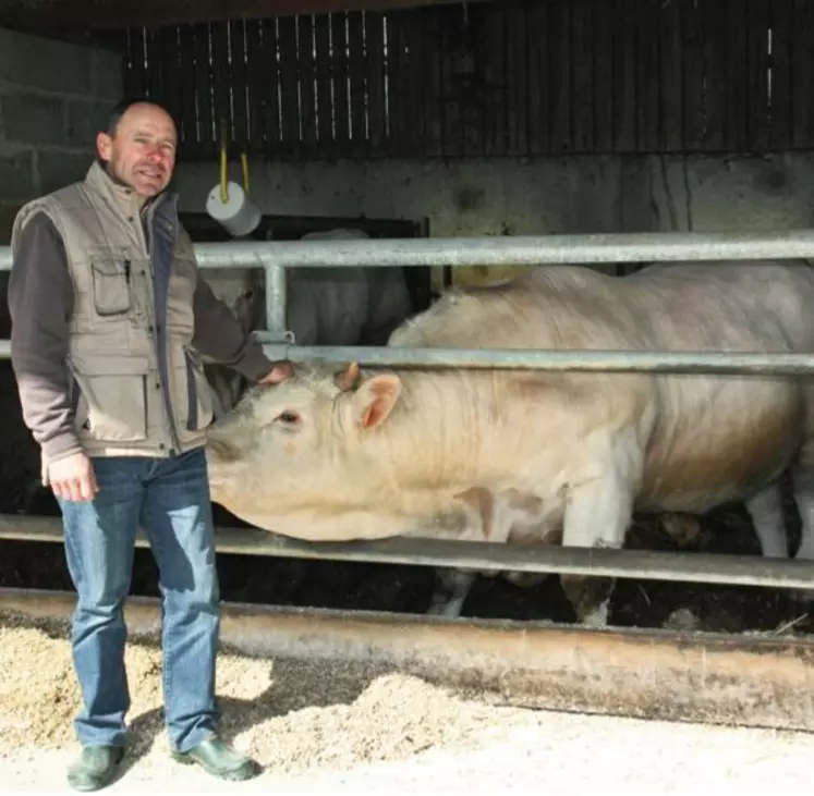 Christian Egon : "Je pèse et classe tous mes animaux avant le départ. Les résultats d'abattoir sont conformes."