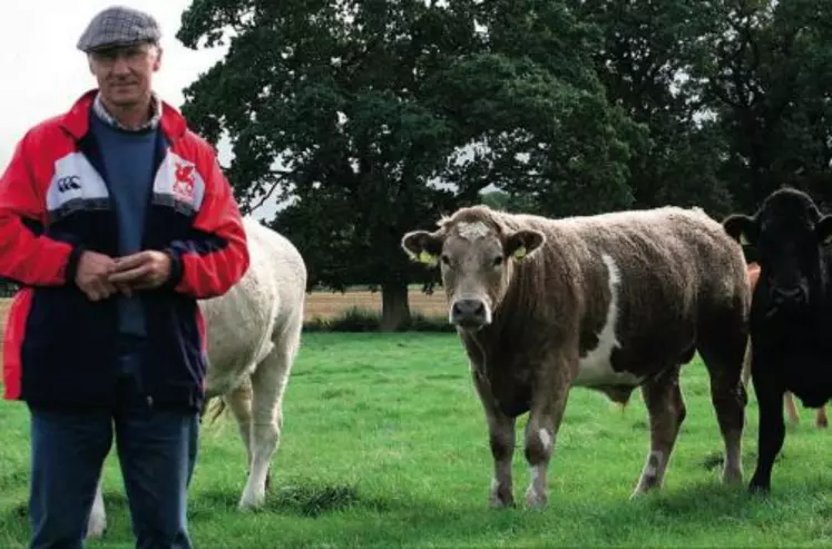 Richard Greene avec ses animaux de 18 mois. "Nous avons toujours fait de l'engraissement."