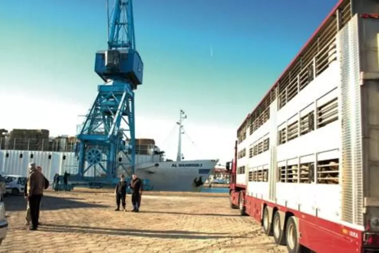 Selon la météo et la vitesse des bateaux, il faut tabler sur un jour et demi pour rallier la Tunisie ou l'Algérie, deux jours pour le Maroc, et cinq jours et demi pour la Turquie.