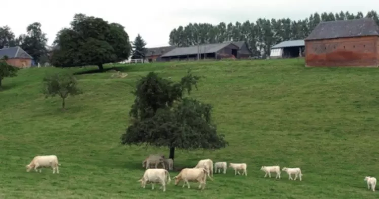 Les capitaux nécessaires à la reprise d’une exploitation viande bovine ont fortement augmenté depuis environ cinq ans. Ceci s’explique par la taille des structures reprises et l’impact de la mise aux normes des bâtiments d’élevage.