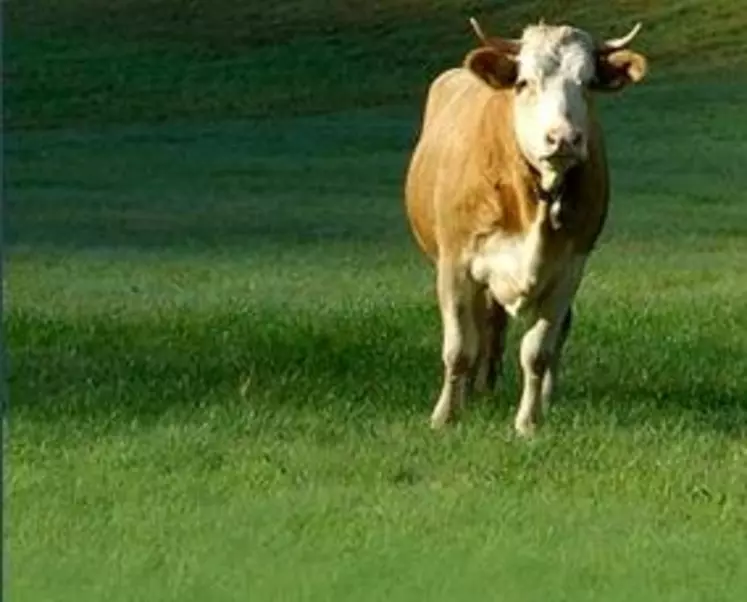 Les activateurs biologiques permettent aux espèces à bonne valeur fourragère de progresser tandis que la proportion d'indésirables diminue.