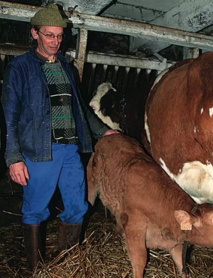 La possibilité d'acheter des limousins naissants est une bonne opportunité. Les croisés charolais montbéliard sont de loin préférés aux croisés limousin montbéliard.