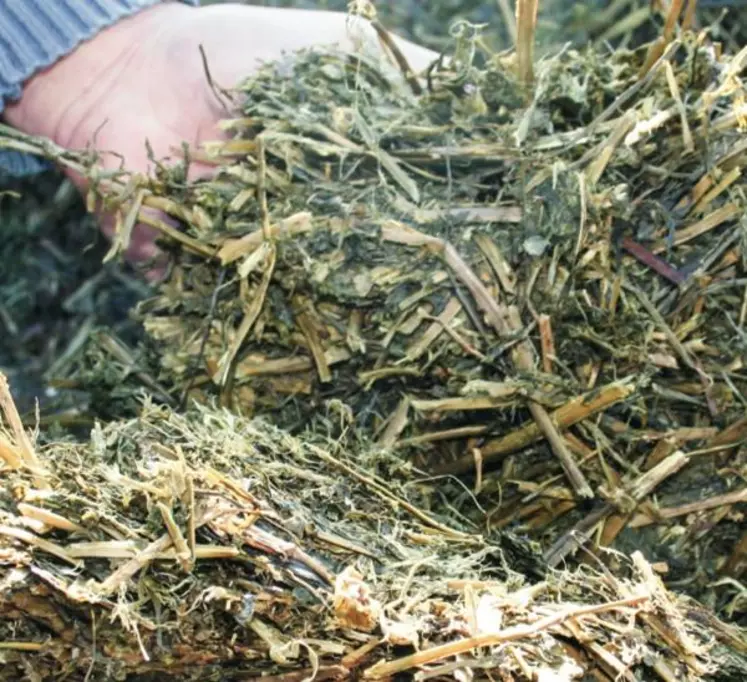 Ensilage de luzerne. Pour limiter les achats extérieurs de protéines grâce à une importance accrue donnée aux surfaces en luzernes, il faut que ces dernières soient récoltées dans de bonnes conditions.