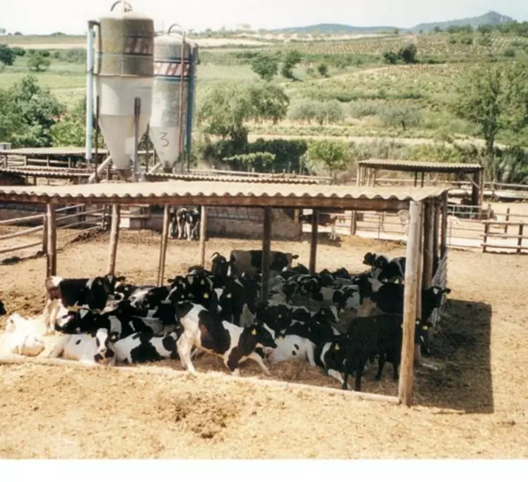 Avec un poids et un prix plus en adéquation avec la demande de certains pays, les animaux espagnols bénéficient de l’atout proximité pour exporter sur pays tiers.