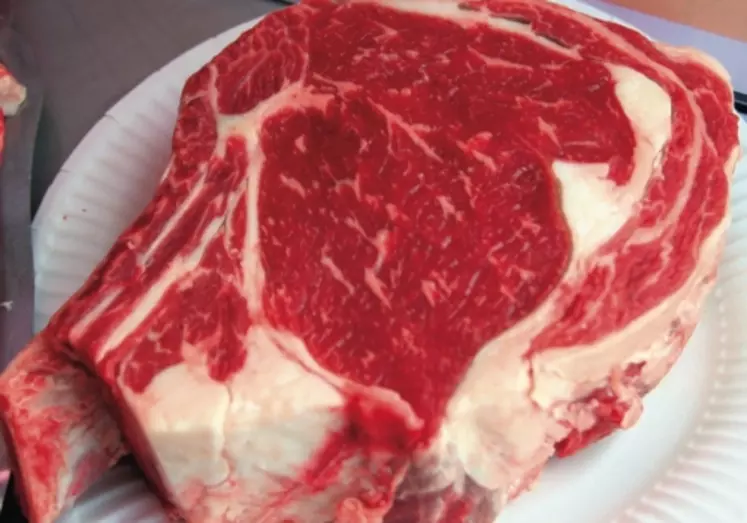 Avec un gras interne abondant, le rendement en viande de la carcasse est mauvais et la viande difficile à vendre.