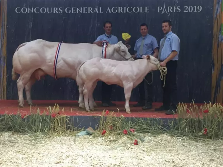 Manhattan, grande championneBlanc Bleu à Paris 2019