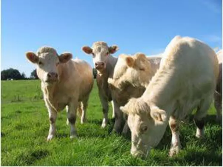 Les stagiaires pratiquent l’alternance avec des semaines de cours dispensés en deux lieux : la ferme expérimentale des Établières en Vendée (photo) et  la ferme expérimentale de Thorigné d’Anjou dans le Maine-et-Loire.