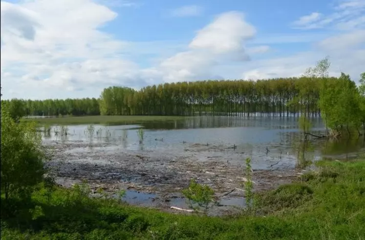 Des baisses supérieures à 20 % en termes de récolte d’herbe entraînent des pertes économiques hors aides importantes.