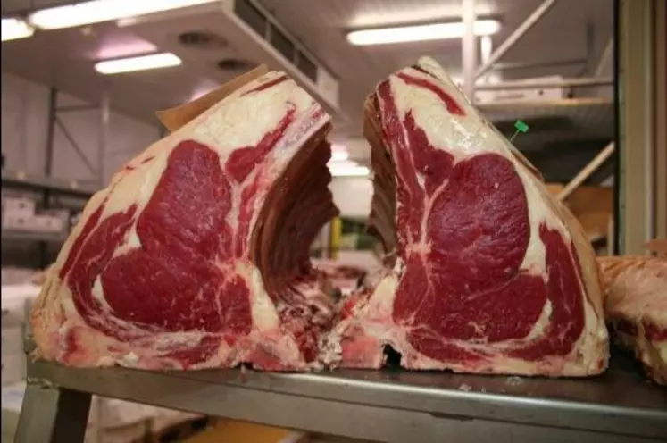 Zoom sur la viande de boeuf de nos assiettes : vachement inquiétant !, GOURMANDISE SANS FRONTIERES