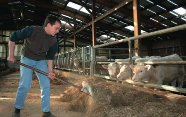 Jonathan Boichut. "A trois quatre mois, les veaux passent à une ration fibreuse à base d'ensilage d'herbe, ce qui développe leur panse et évite de les faire graisser."