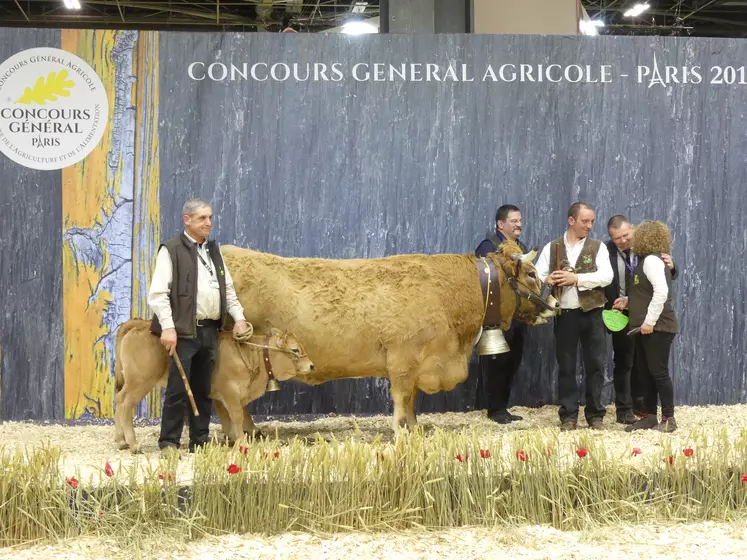 Elite au Gaec de la barre de fer – Guibal (Cantal) : 1er prix de section et meilleur ISU