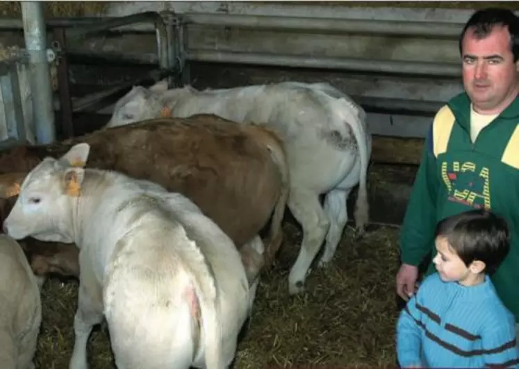 Pour la tétée, l’éleveur attire les vaches avec de l’aliment et laisse libre une place sur trois pour les Blondes et une sur deux pour les laitières, qui nourrissent deux veaux à la fois. Il peut ainsi faire téter 14 veaux simultanément.