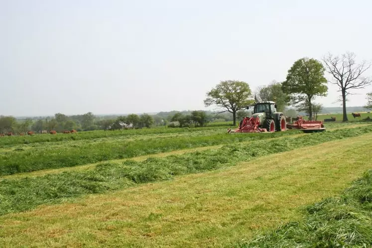 Les prairies de fauche sans apport d’engrais organiques représentent les plus forts risques de carence en soufre.