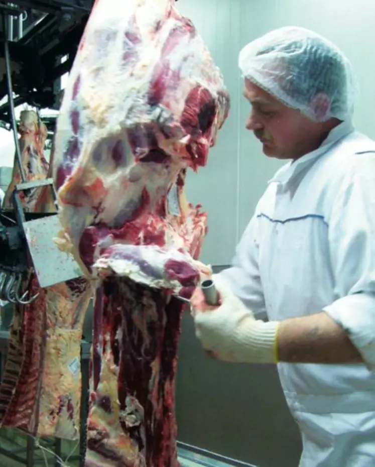 En Allemagne, en 2012, 
le prix moyen du kilo 
de carcasse de taurillon R s’est établi à 3,90 €/kg, 10 % de plus qu’en 2011.