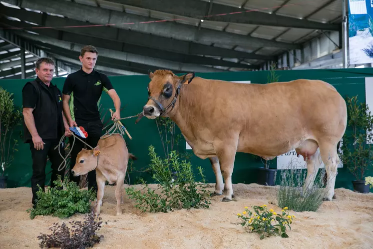 concours national parthenaise 2019