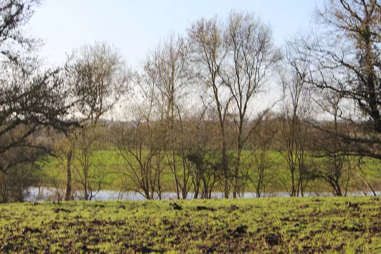 prairie inondée