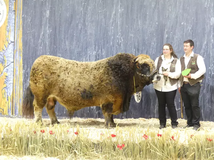 Jocond champion Aubrac Paris 2019